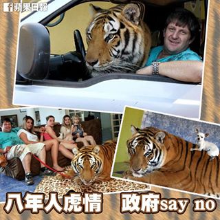 感情就是會令人「瘋狂」......

【圖輯】八年人虎情　政府say no
http://bit.ly/19byh08
=====================
英國人當年點用大麻同椰子酒管治印度工人？
即睇今周《亂噏24》。 http://bit.ly/appletalk24