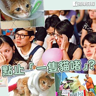 聖雄甘地：「從一個國家對動物的態度，我們可以分辨其偉大的道德水平。」

【網上論壇】公民黨成員余德寶：點止「一隻貓啫」
http://bit.ly/1fyQVsf
=====================
蘋果日報 FB，在乎動物權益！